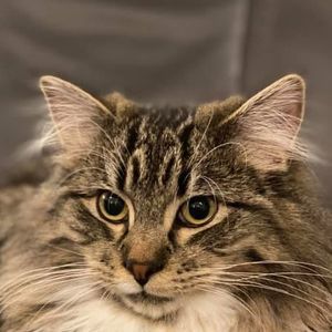 Meet your Posher, Layne